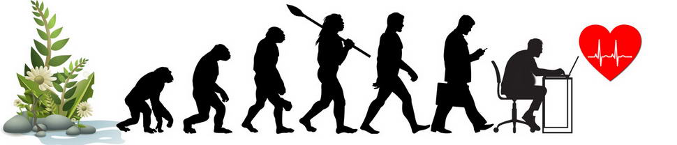 Evolutionsgeschichte der Menschen