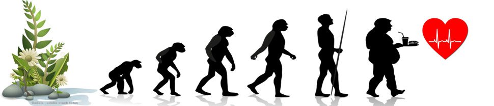 Natur Praxis Evolutionsgeschichte der Menschen