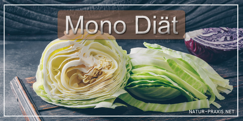 Mono Diät